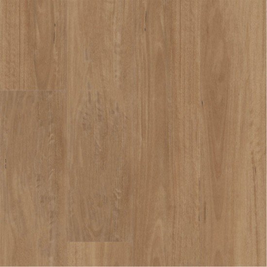 Shaw Floors – Golden Shores Vınyl Shaw Floors – Golden Shores Vınyl